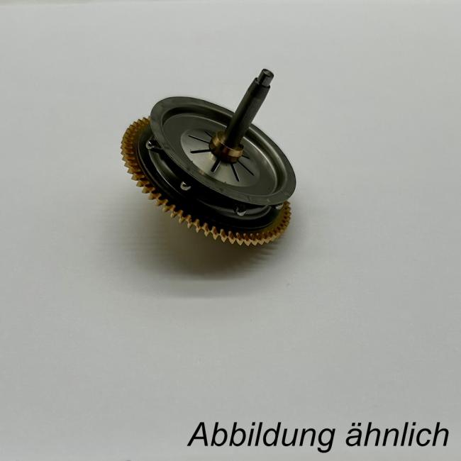 Kettenrad Gehwerk